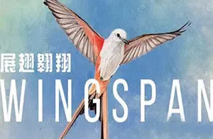 展翅翱翔(WINGSPAN)科普向卡牌策略冒险游戏|下载