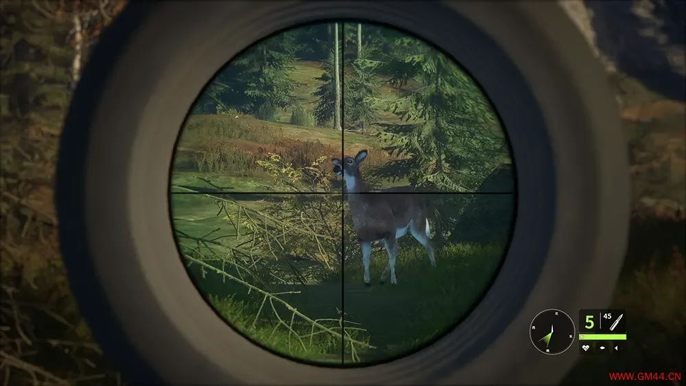 猎人荒野的召唤(TheHunter Call of the Wild)开放世界狩猎游戏|下载20250618083600491.webpGM44游戏资源网