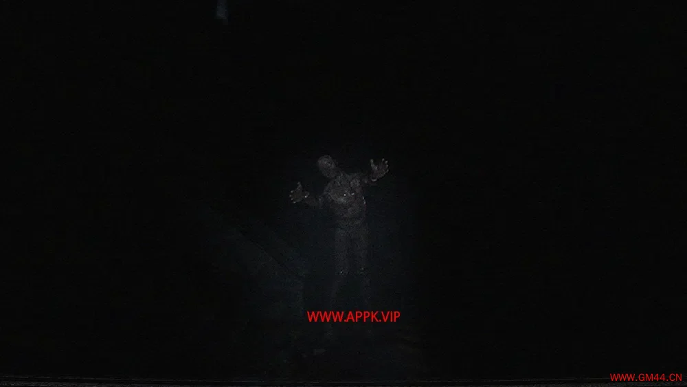诅咒磁带(The Cursed Tape)简中|PC|AVG|硬核恐怖游戏2024051505262845.webpGM44游戏资源网
