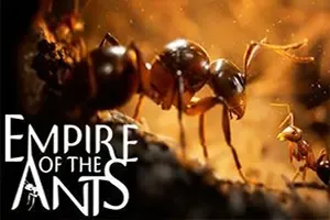蚂蚁帝国(Empire of the Ants)第三人称即时战略游戏|下载