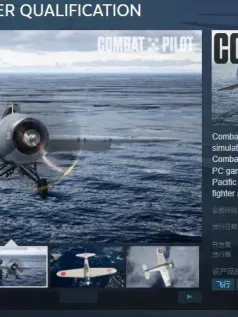 二战飞行模拟《战斗飞行员》Steam页面 发售日待定