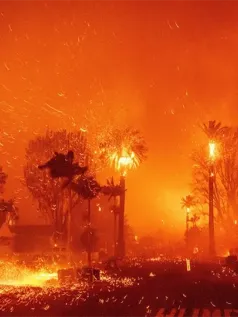 多家游戏工作室受加州大火影响 暴雪：将实时关注情况