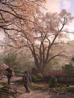 《刺客信条：影》兴趣点不会很多 玩家能仔细欣赏美景