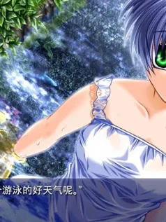 视觉小说游戏《AIR》Steam商店页面开放