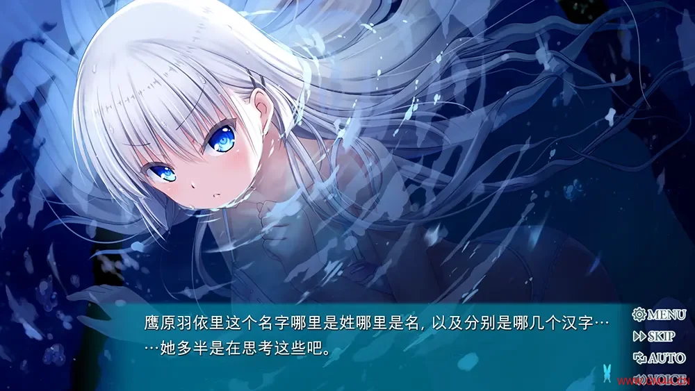夏日口袋蔚蓝反射(Summer Pockets REFLECTION BLUE)恋爱视觉小说游戏|下载20250628170612872.webpGM44游戏资源网