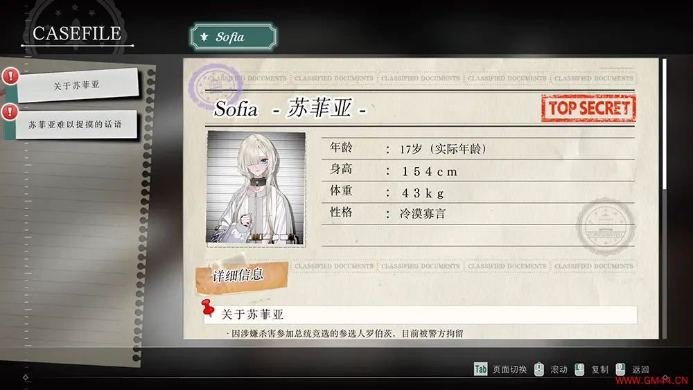 苏菲亚的谎言与代价(Sofia in Exchange for Lies)悬疑推理游戏|下载20250704123552726.webpGM44游戏资源网