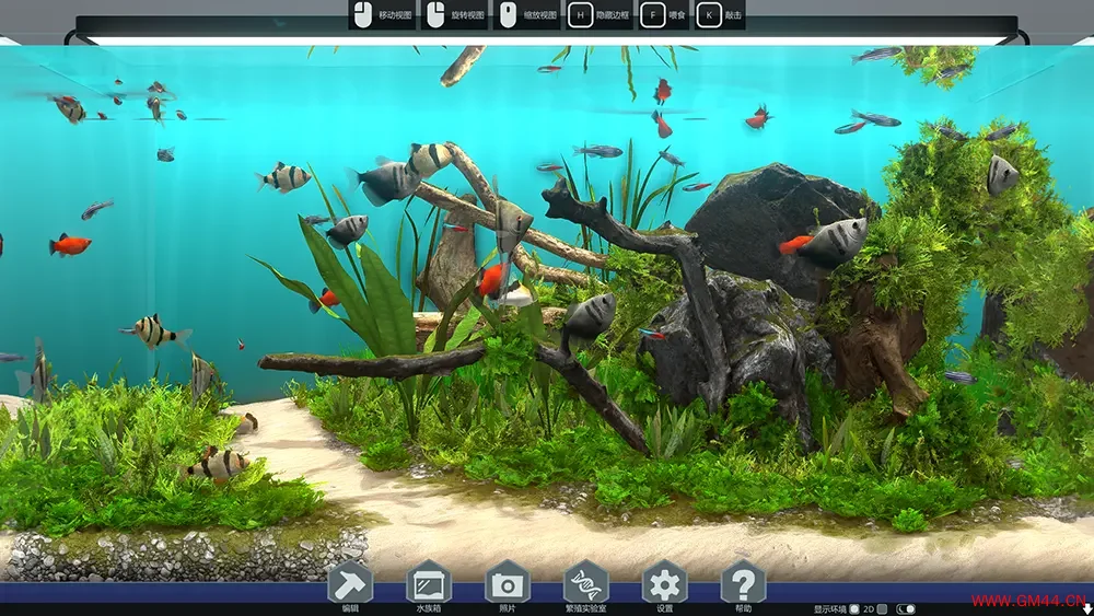 玻璃背后水族馆模拟器(Behind Glass Aquarium Simulator)鱼类养殖游戏|下载20250711055349561.webpGM44游戏资源网