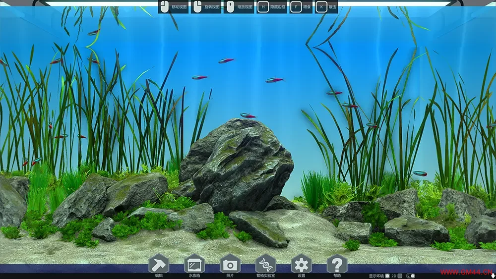 玻璃背后水族馆模拟器(Behind Glass Aquarium Simulator)鱼类养殖游戏|下载20250711055350477.webpGM44游戏资源网