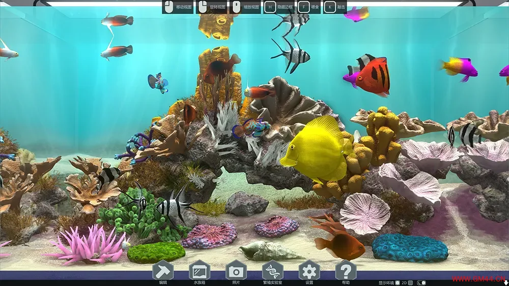 玻璃背后水族馆模拟器(Behind Glass Aquarium Simulator)鱼类养殖游戏|下载20250711055351185.webpGM44游戏资源网