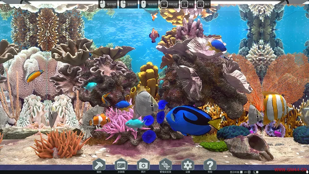 玻璃背后水族馆模拟器(Behind Glass Aquarium Simulator)鱼类养殖游戏|下载20250711055352232.webpGM44游戏资源网