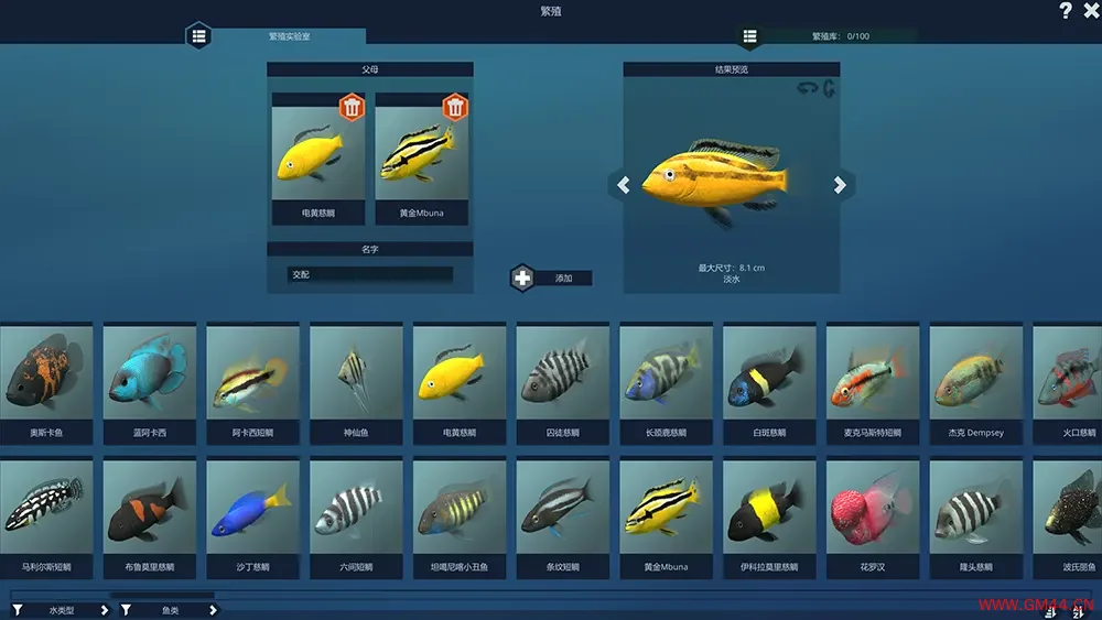 玻璃背后水族馆模拟器(Behind Glass Aquarium Simulator)鱼类养殖游戏|下载20250711055353232.webpGM44游戏资源网