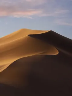 沙漠沙丘的壮丽之美 高清手机壁纸