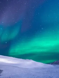 极光舞动雪原 星空下的梦幻奇景 高清手机壁纸