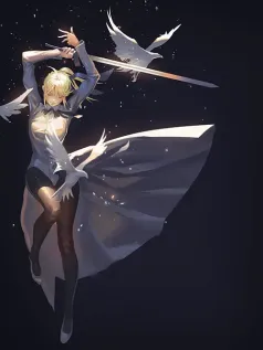 星空下的剑与羽之舞 英灵重塑风格手机壁纸