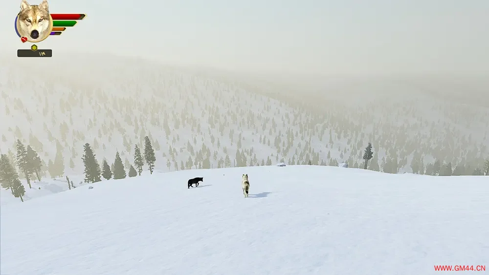 野狼谜踪周年纪念版 / WolfQuest Anniversary Edition 开放世界动作游戏